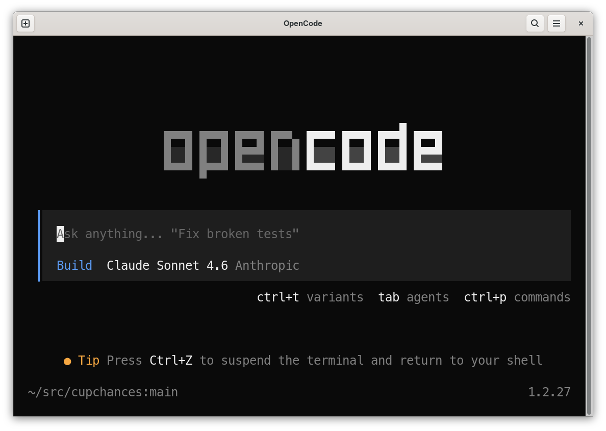 O futuro (ainda é) aberto.